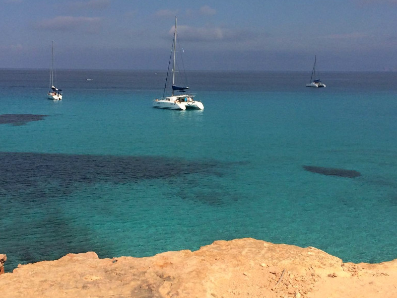 Immagine Lagoon 440
