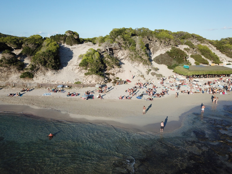 Immagine Lagoon 440