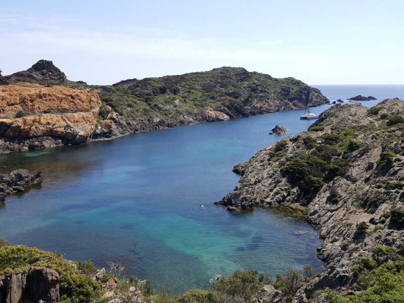 Immagine Lagoon 440